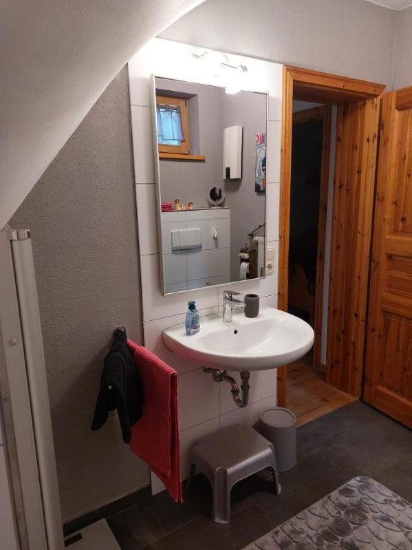 Kuckucksnest - Appartement Welschneudorf