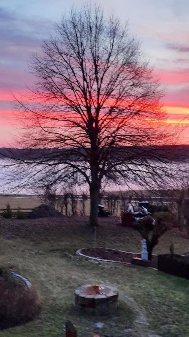 Kuckucksnest - *